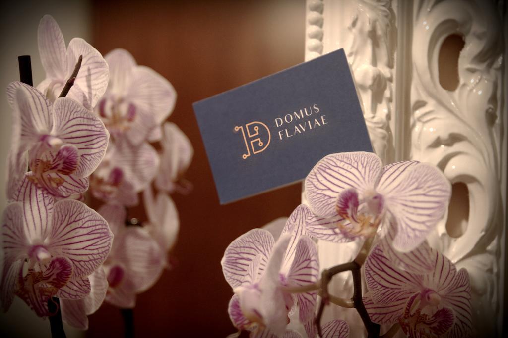 Hotel Domus Flaviae Rzym Zewnętrze zdjęcie
